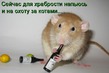 Хохотулинки