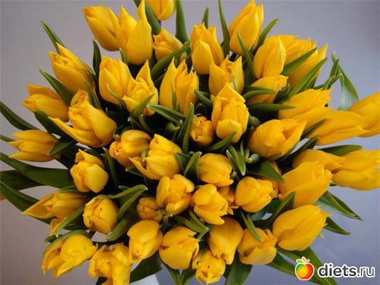 Тюльпаны, альбом: То, что я люблю