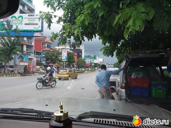 41 ����: ����������, ������ �����