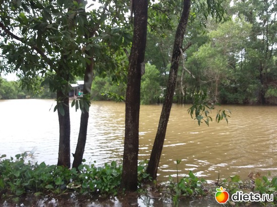 42 ����: ����������, ������ �����