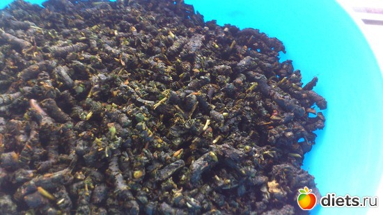 Ферментация листьев вишни, альбом: Рецепты