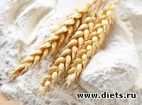 ���� �������. ���� ����