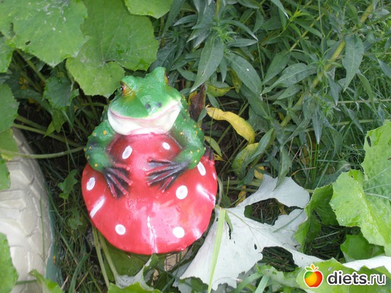 ��� ��� ��� ����������, �������  - ��������., ������: ��� ������� ����.