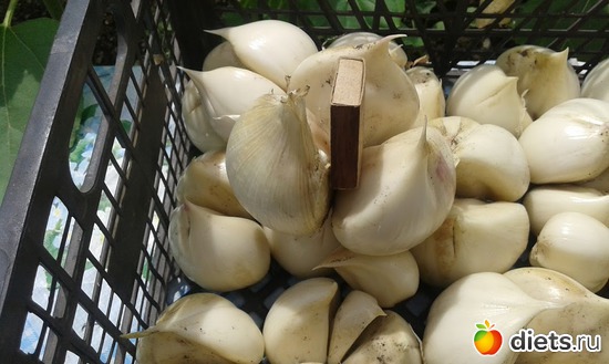 �� ��., ������: ��� ������� ����.