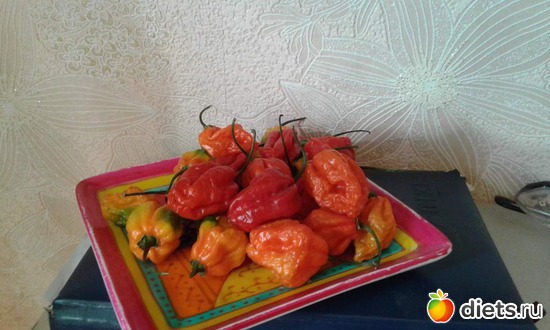 2016 ������ ��� �������� ������ � ����, ���������� ���������, ���� ���� ������., ������: ��� ������� ����.