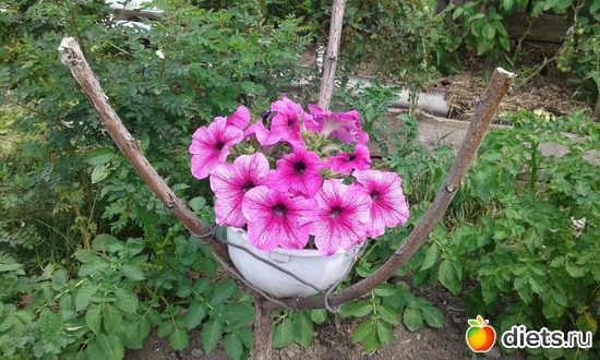 2016 ��������, ������: ��� ������� ����.