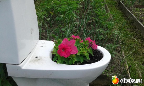 2016 ��������, ������: ��� ������� ����.