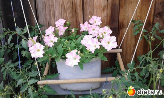 2016 ��������, ������: ��� ������� ����.