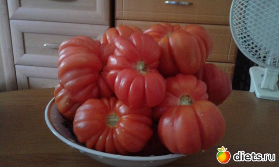 2016 �������� ������������ ���������., ������: ��� ������� ����.