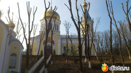 ��������� � ��������, ������: �������