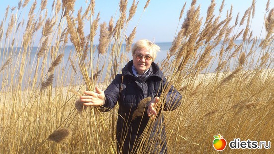 � ������� 05.03, ������: �������