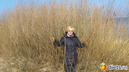 � �������� ����� 05.03.17, ������: �������