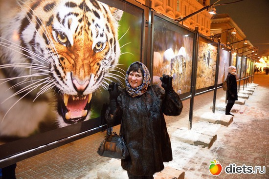 5 ����: ����� ��� 2017 � ������