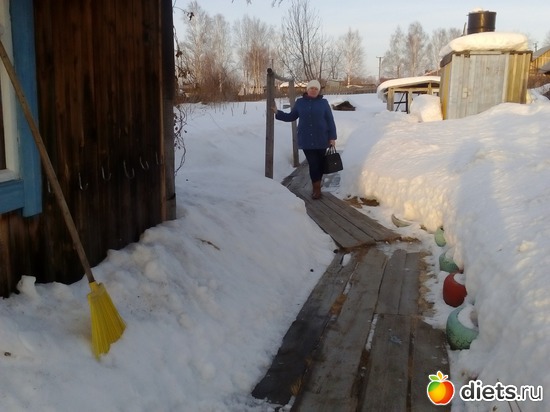 23 ����: �������.