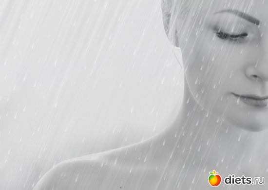 41 ����: ������