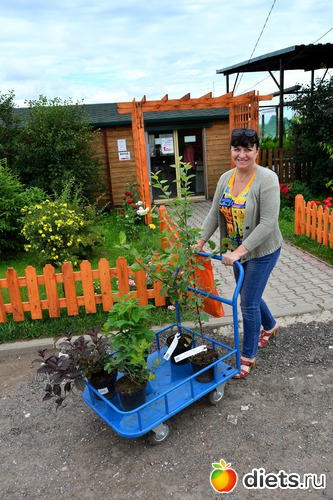 1 ����: �� ���� 2017