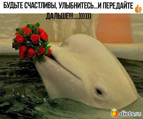 4 ����: ������