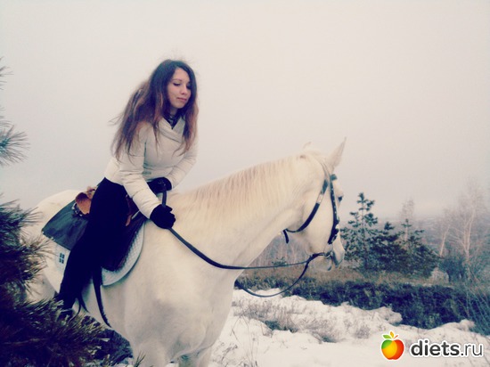 ����������, ������: 2017