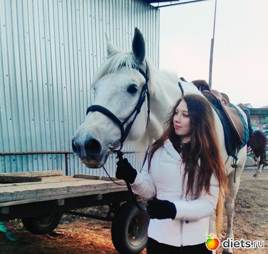 39 ����: 2017