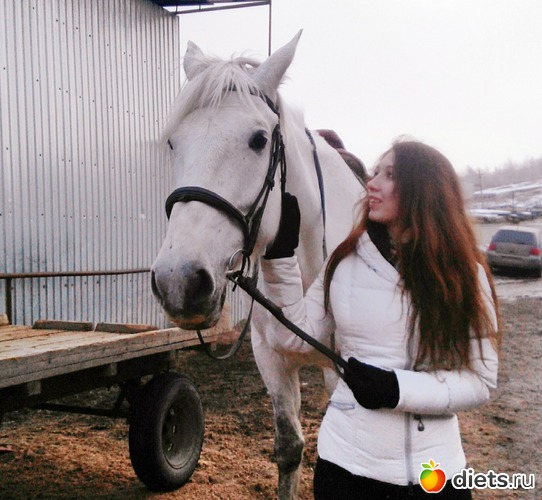 40 ����: 2017