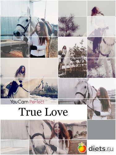 41 ����: 2017