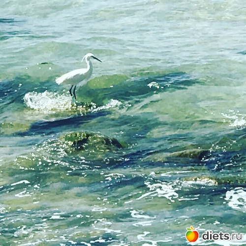 1 ����: ���� 2017