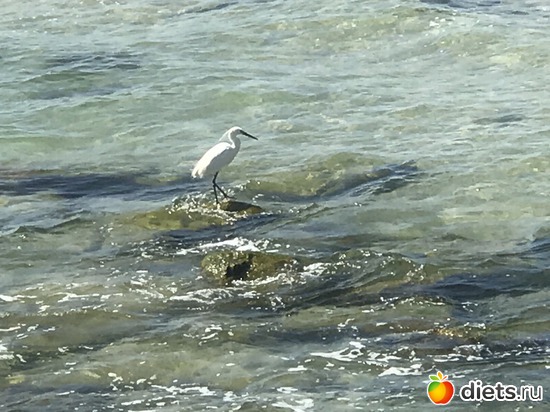 6 ����: ���� 2017