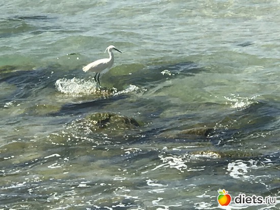 7 ����: ���� 2017