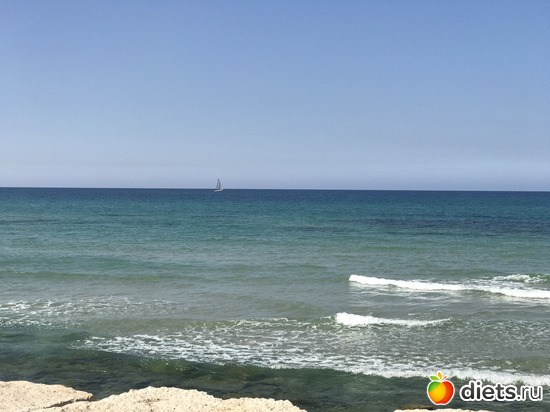 8 ����: ���� 2017