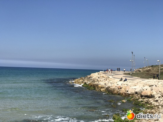 9 ����: ���� 2017