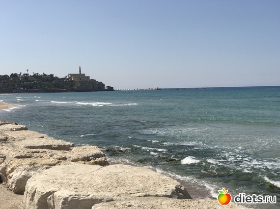 11 ����: ���� 2017