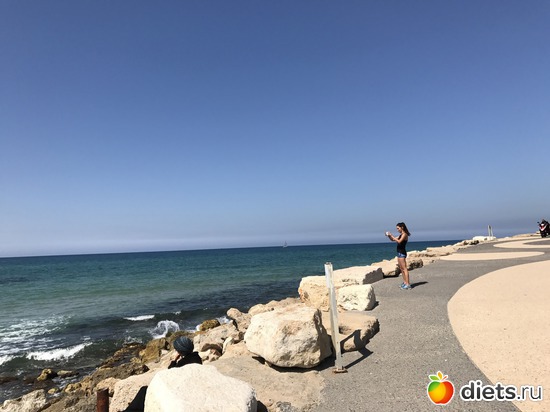 13 ����: ���� 2017