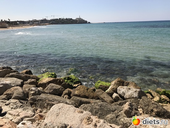 14 ����: ���� 2017