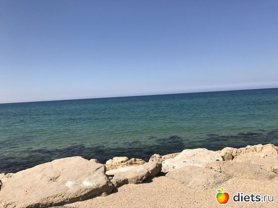 15 ����: ���� 2017