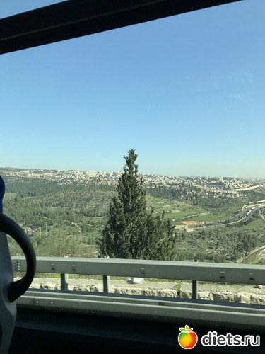 20 ����: ���� 2017