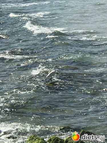 3 ����: ���� 2017