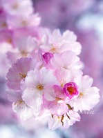 * * * * * 29  /90   !* * * * *