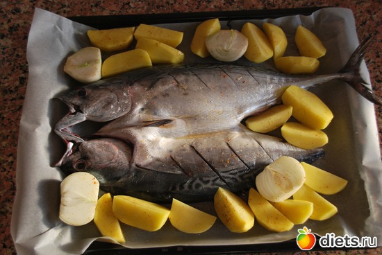 111 ����: ��