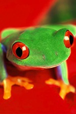 * * * * *   34/90  26!!! * * * * *