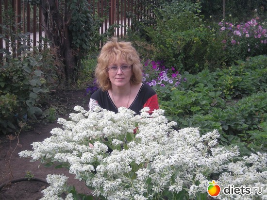 3 ����: ������ �