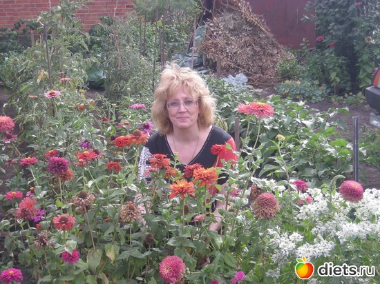 4 ����: ������ �