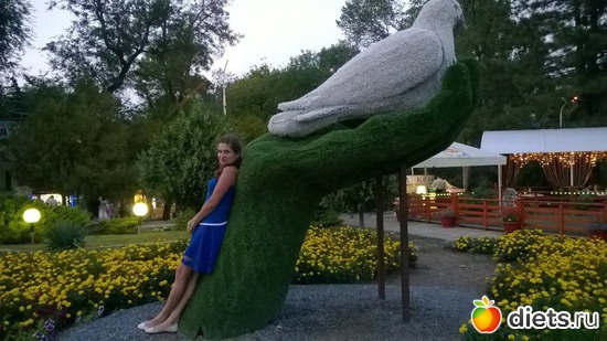 1 ����: �����