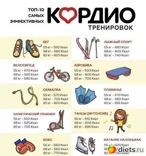 26 ����: ��