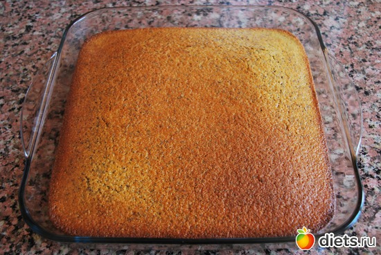 41 ����: �����-����