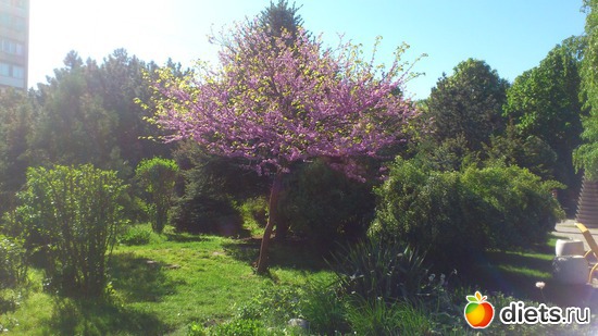 7 мая, альбом: 1 мая 2017 г