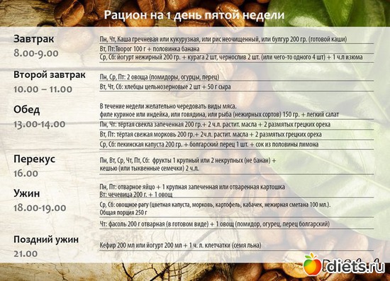 5 ����: ����