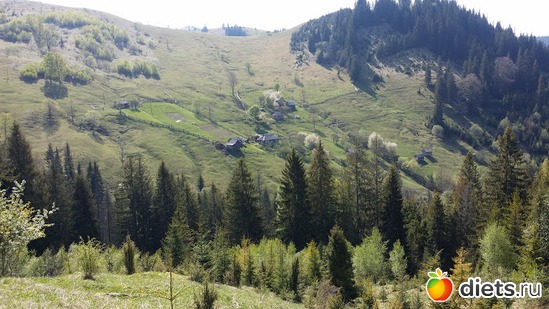 1 ����: ����