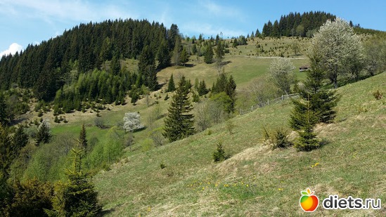 2 ����: ����