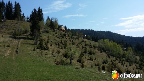 3 ����: ����