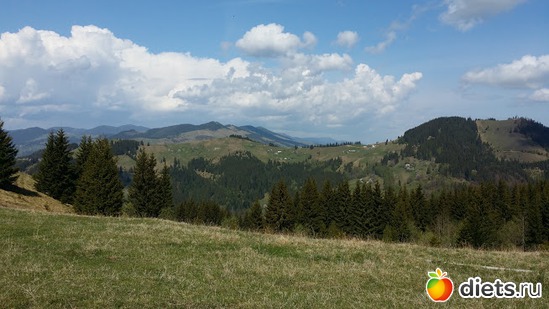 4 ����: ����